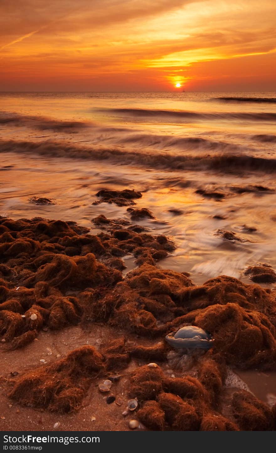 The beach at night seen through a wide angle lens. The beach at night seen through a wide angle lens