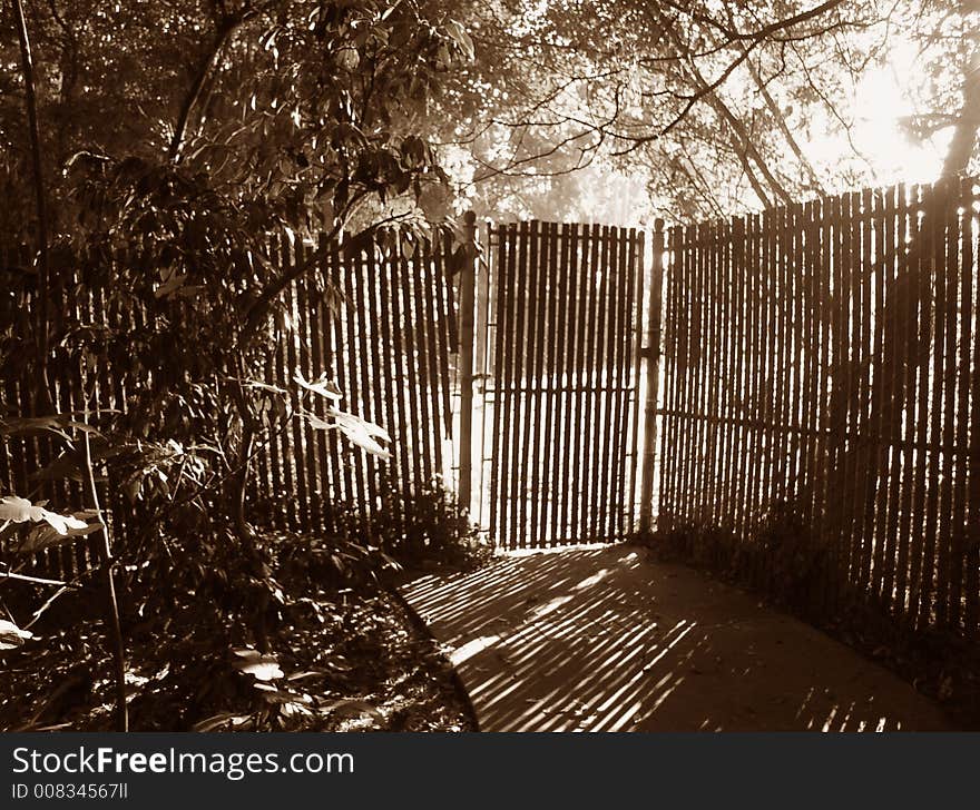 Sun rays shining through a fence. Sun rays shining through a fence