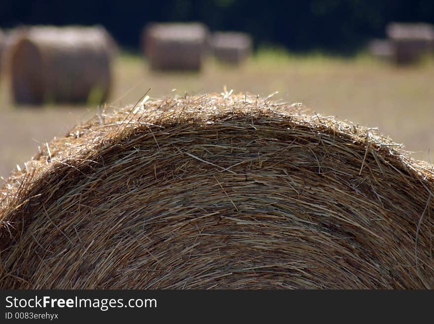 A photograph taken in a field in Oklahoma. A photograph taken in a field in Oklahoma.