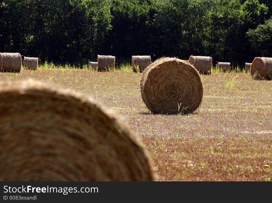 A photograph taken of a field in Oklahoma. A photograph taken of a field in Oklahoma