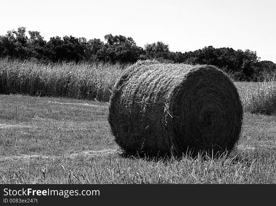 A photograph taken of a field in Oklahoma. A photograph taken of a field in Oklahoma.