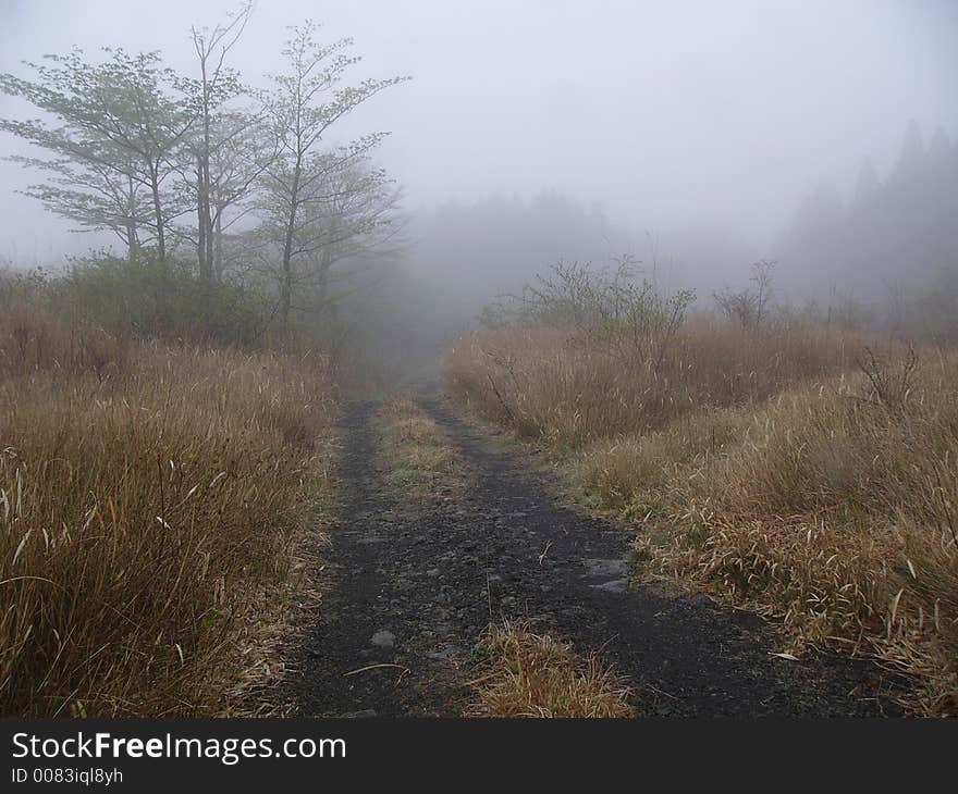 Autumnal misty mountain road, Japan