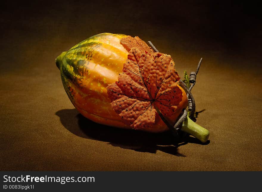 Photo of a Gord / Pumpkin