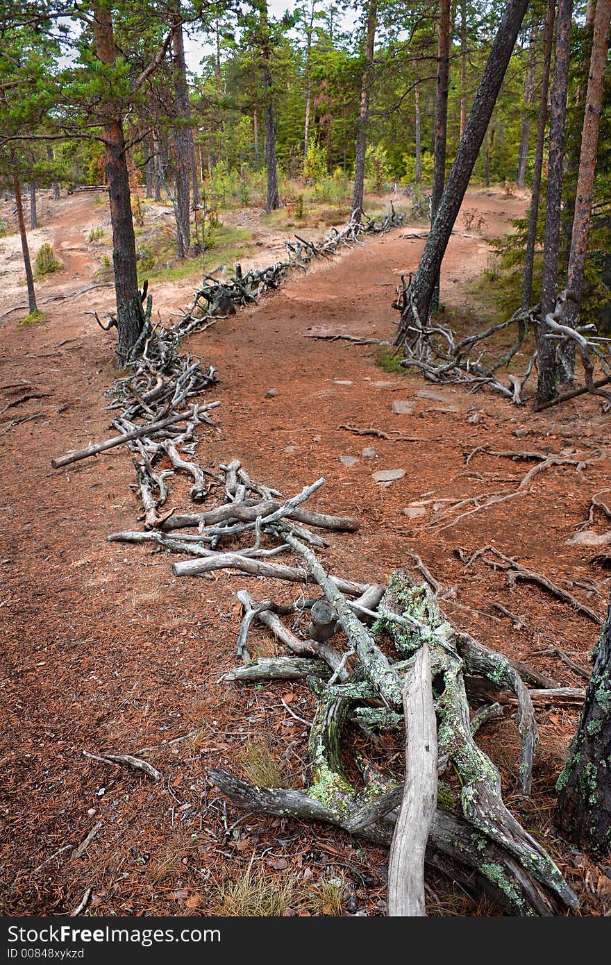 Monastic road on island Valaam. Monastic road on island Valaam