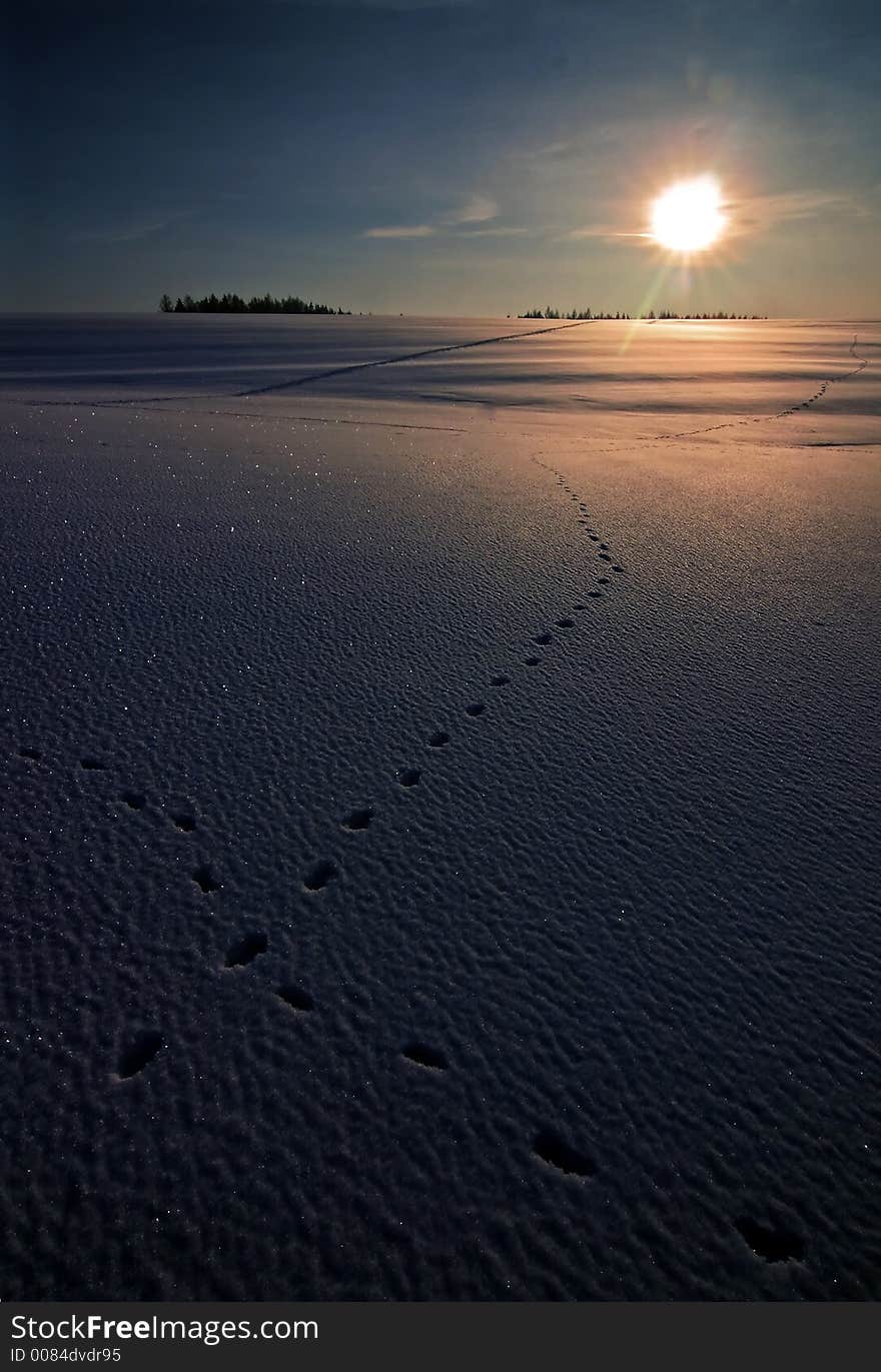 Trails in snow and sun. Trails in snow and sun