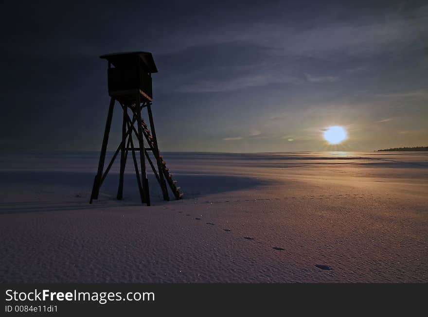 Deer-stand, trails and sun