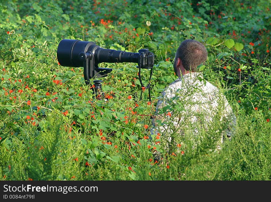 A photographer waiting on a hummingbird