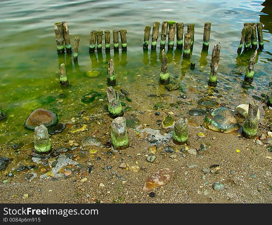 Old Wooden Piles