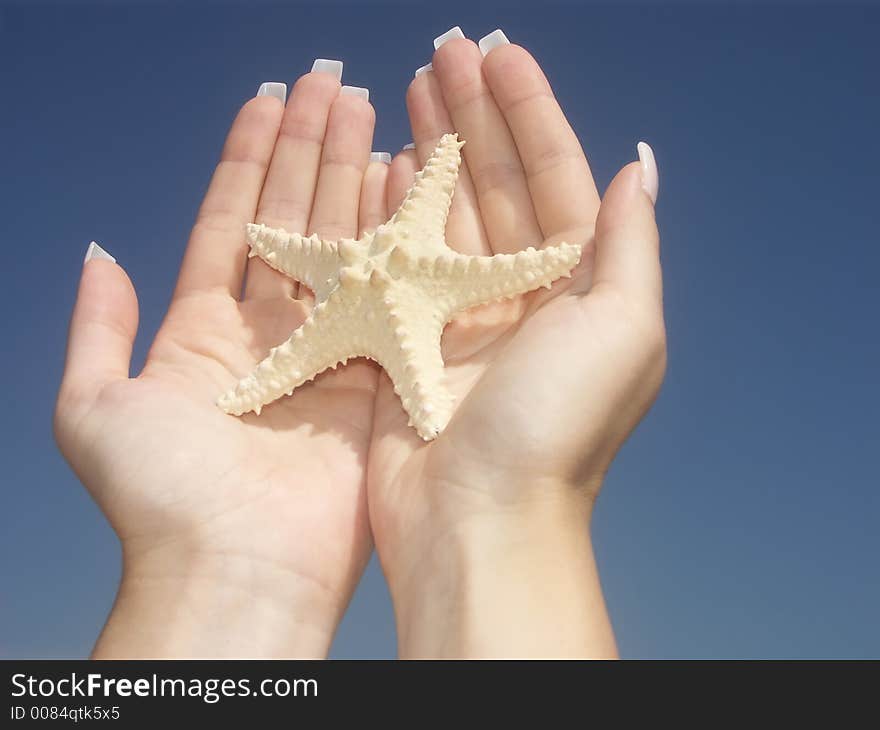 Girl holding a starfish in two palms against blue sky. Girl holding a starfish in two palms against blue sky