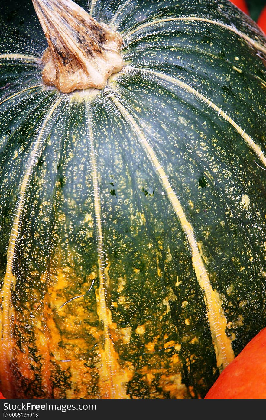 Close up of Pumpkin