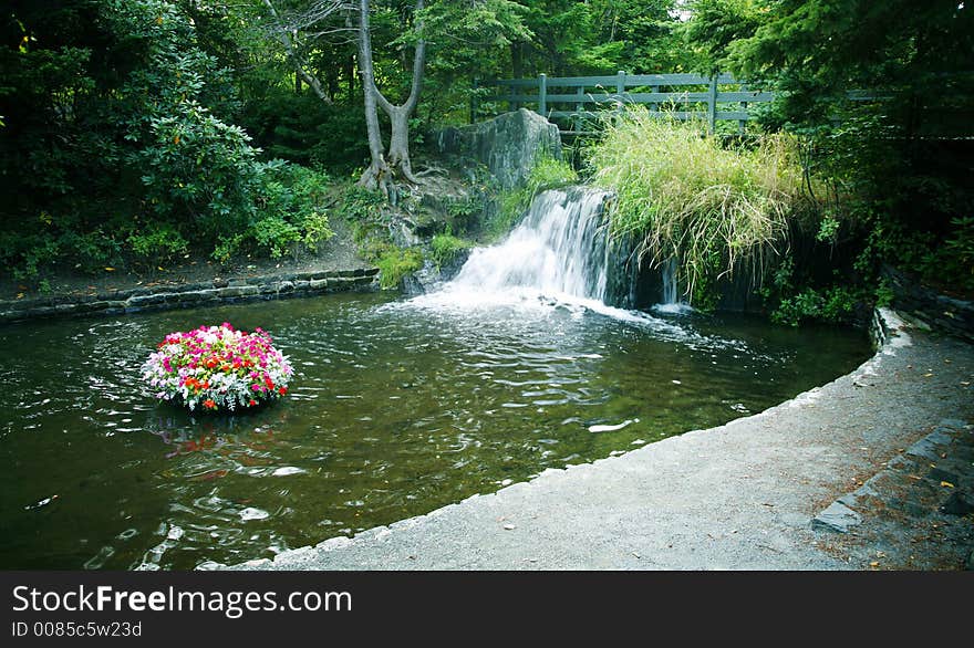 Outdoor scenic - Beautiful stream in the fall