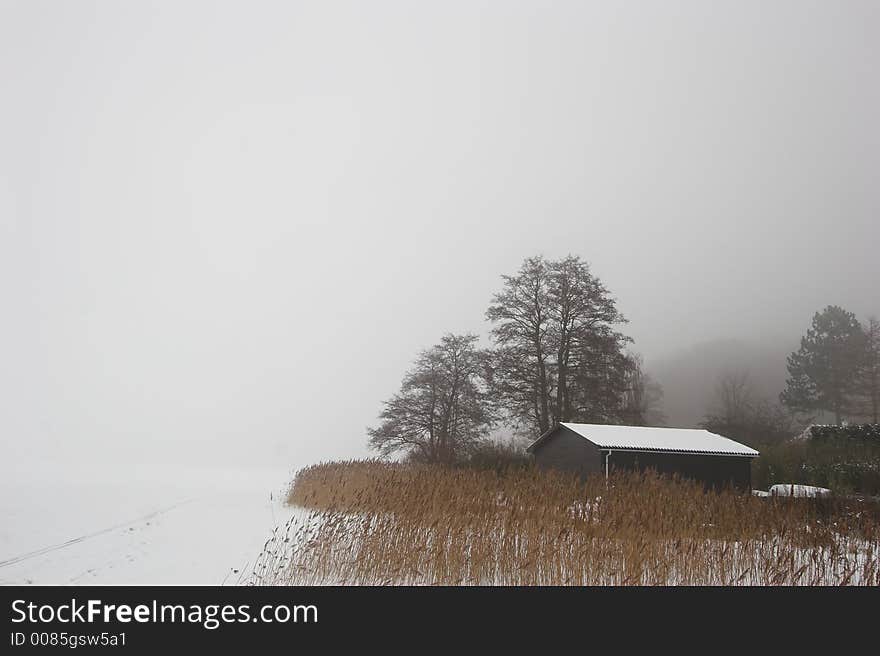 Iced  lake in denmark in winter. Iced  lake in denmark in winter