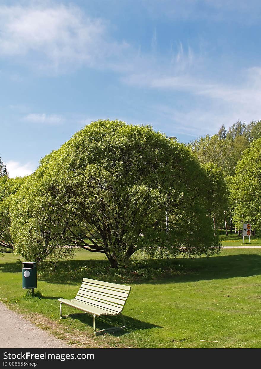 Bench and a tree