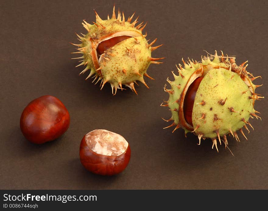 Conkers On The Black Background