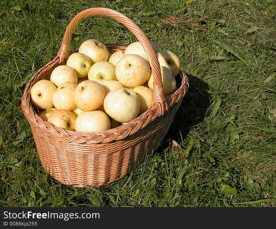 Basket of apples