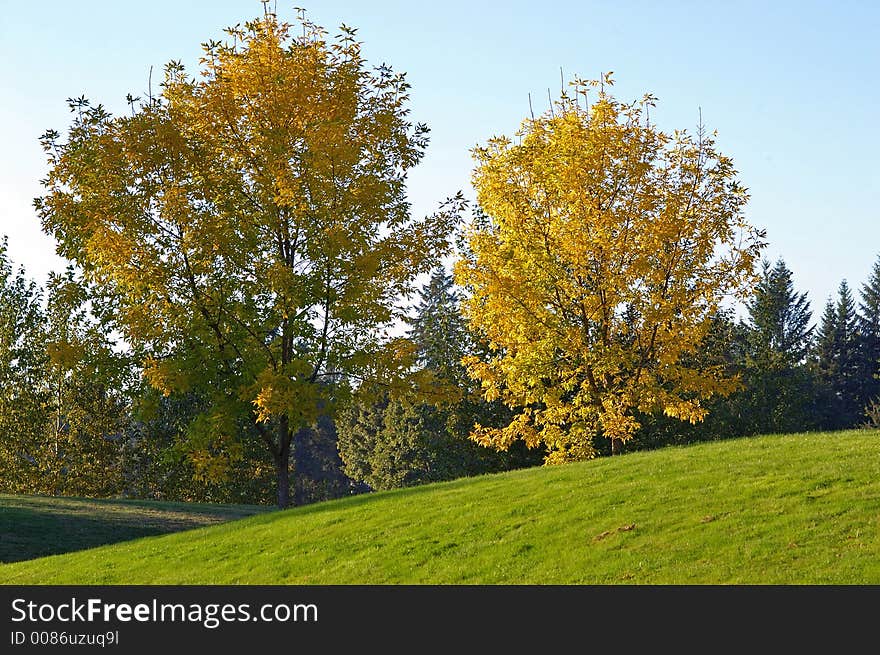 Fall Color is coming to the park. Fall Color is coming to the park