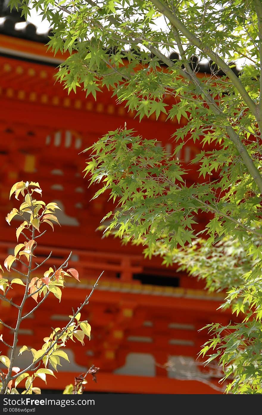 Autumnal Japan. Japanese architecture and autumnal trees