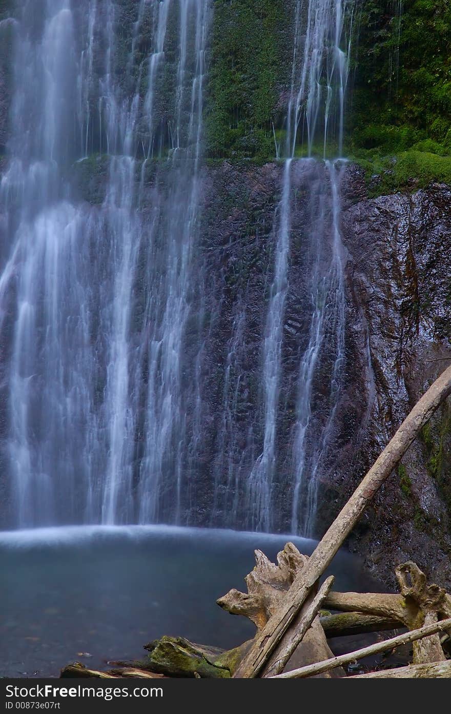 Waterfall in the rainforest of the Olympic Peninsula in Washington State. Waterfall in the rainforest of the Olympic Peninsula in Washington State