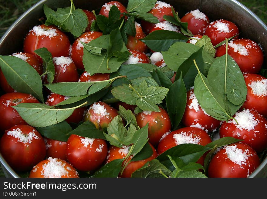 Tomatoes with currant leaves and salt in big pan wide