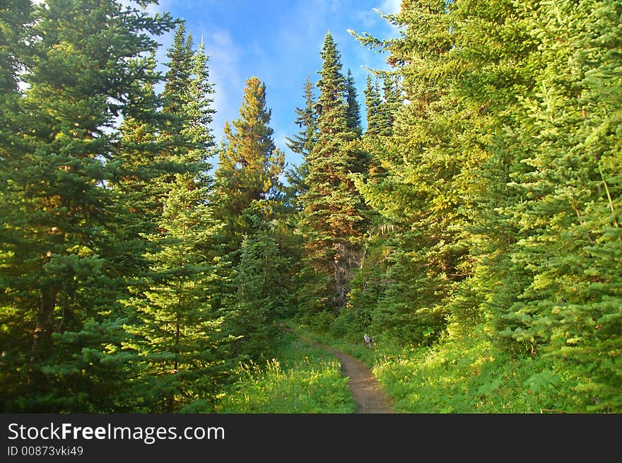 Mountain wilderness in Washington State. Mountain wilderness in Washington State