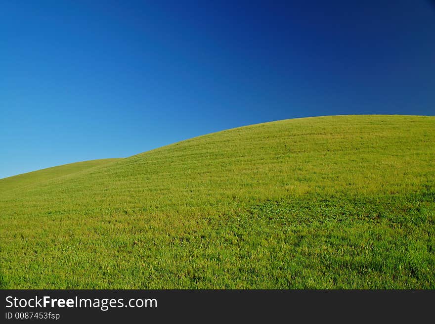 Rural Spring Countryside