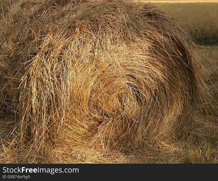 Harvested roll of straw one, close-up