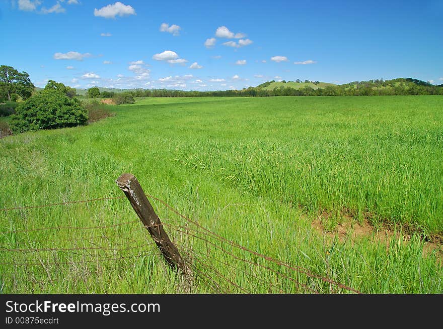 Rural Spring Countryside