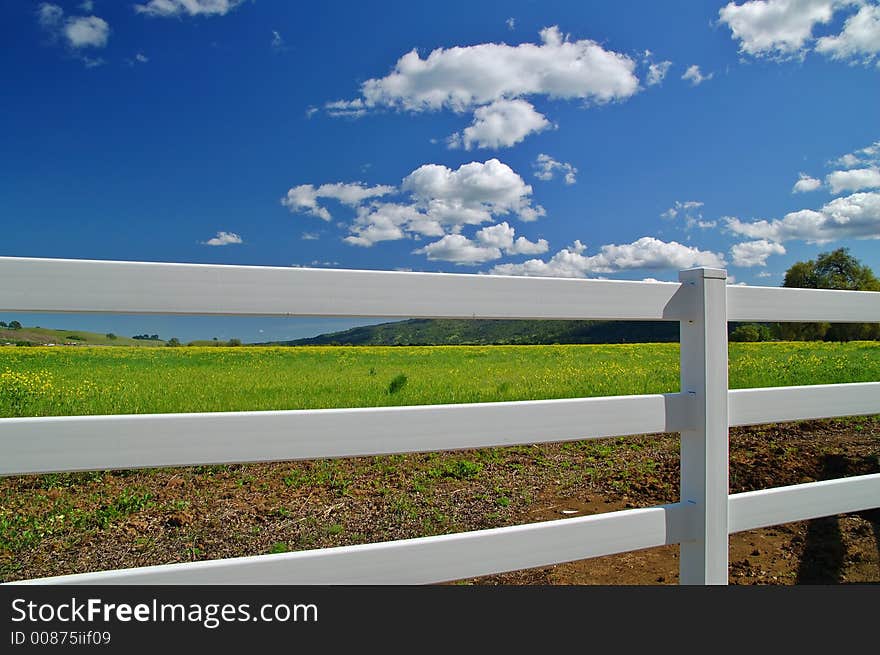 Rural Spring Countryside