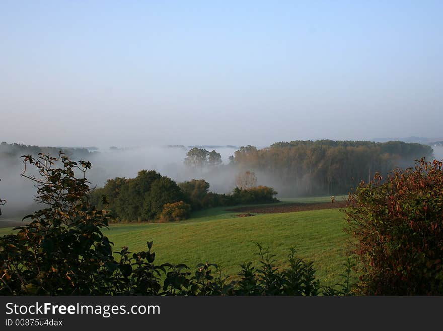 Foggy landscape