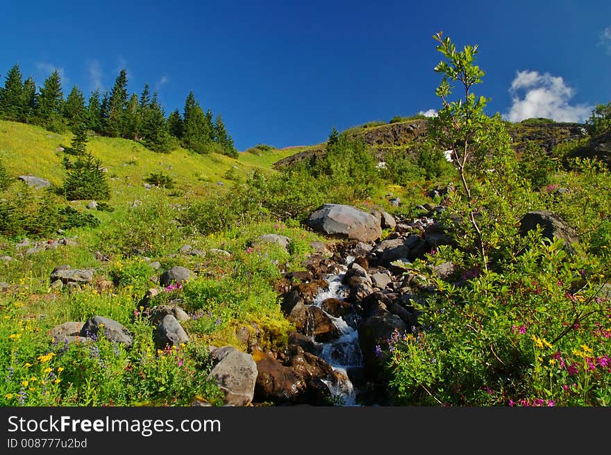 Scenic Mountain landscape