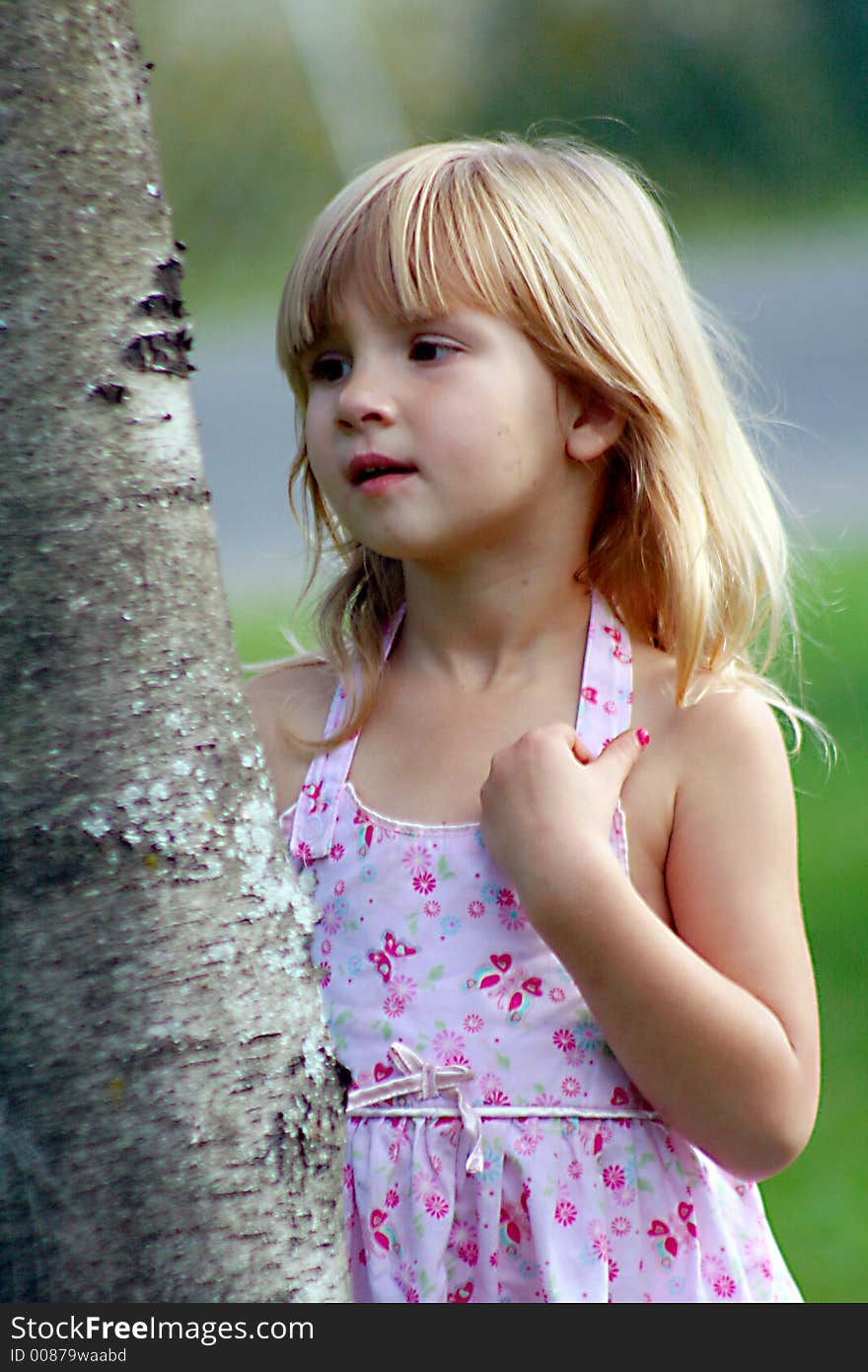 Little girl pulling bark off tree. Little girl pulling bark off tree.