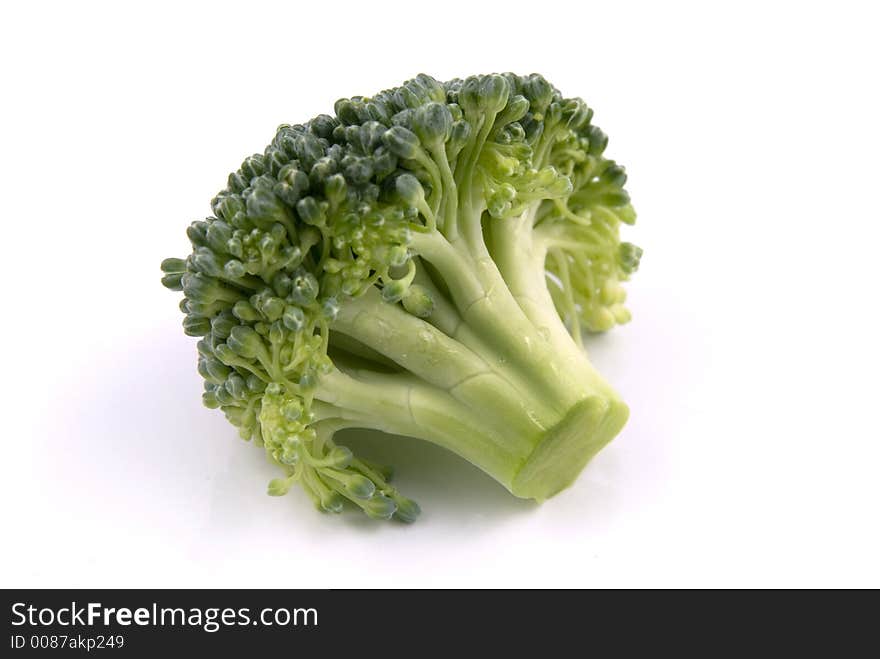 A small stalk of Broccoli on White