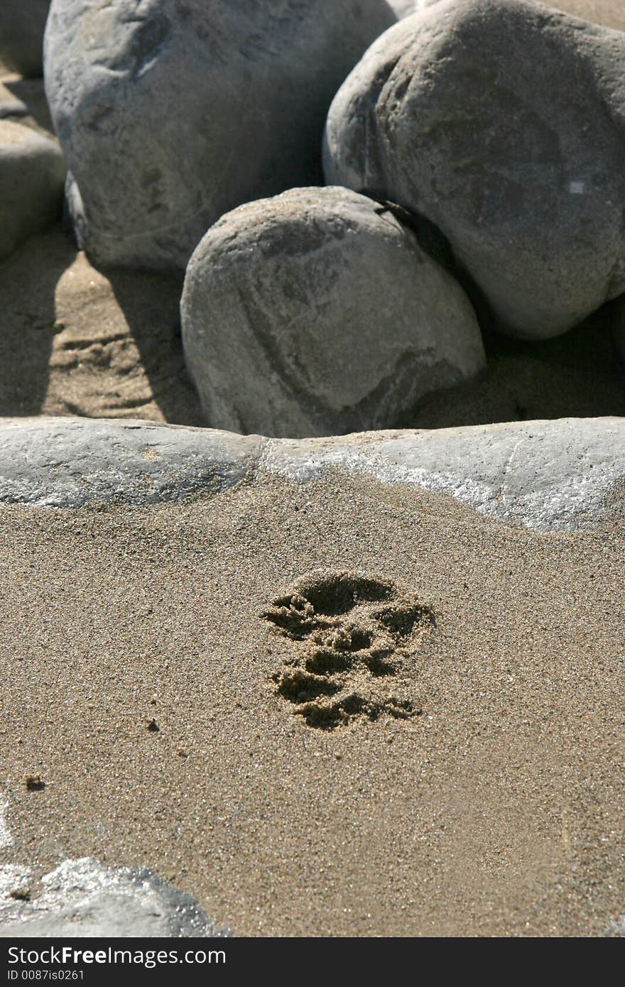 Footprint on wet sand on rock