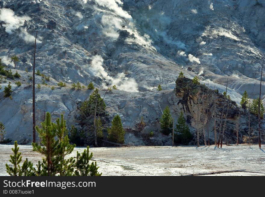 Geysers in Yellowstone National Park