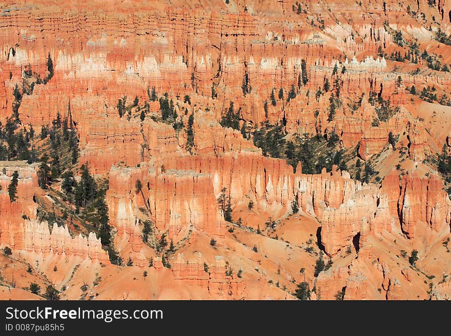 Hoodoos at Bryce Canyon National Park