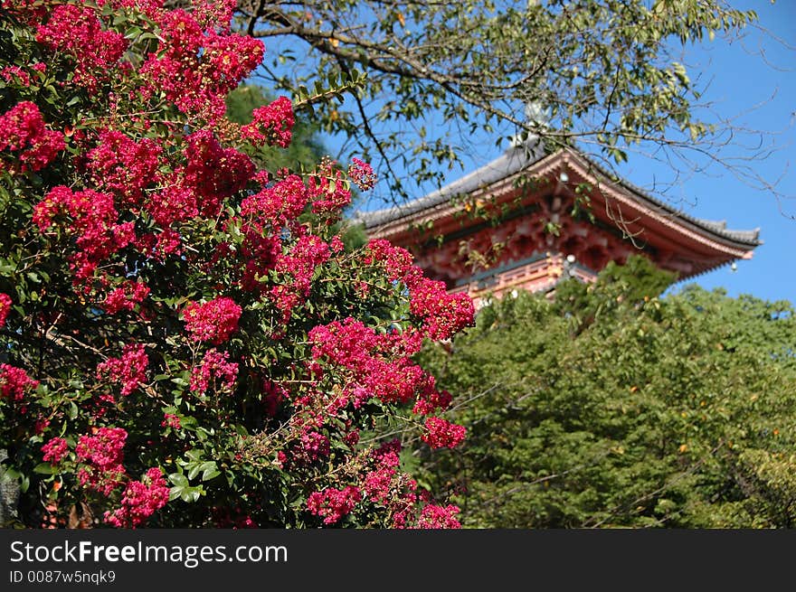 Temple of clear water.