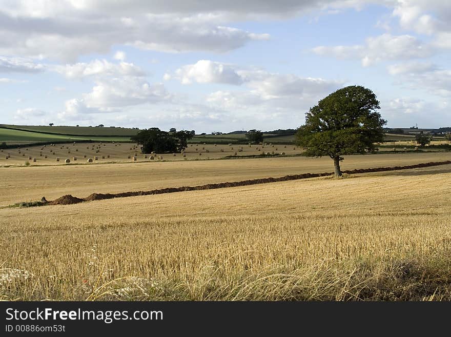 Golden landscape og a farmers field with hay roll's