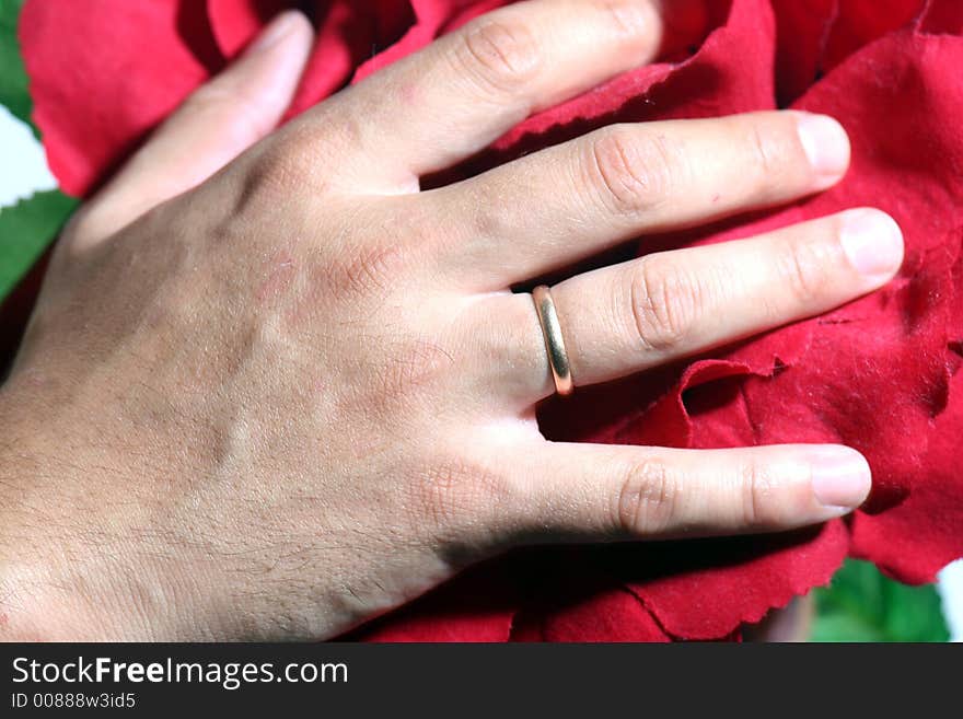 Mans hand with wedding ring on the flower. Mans hand with wedding ring on the flower