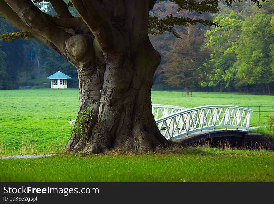 Tree and bridge in green park. Tree and bridge in green park