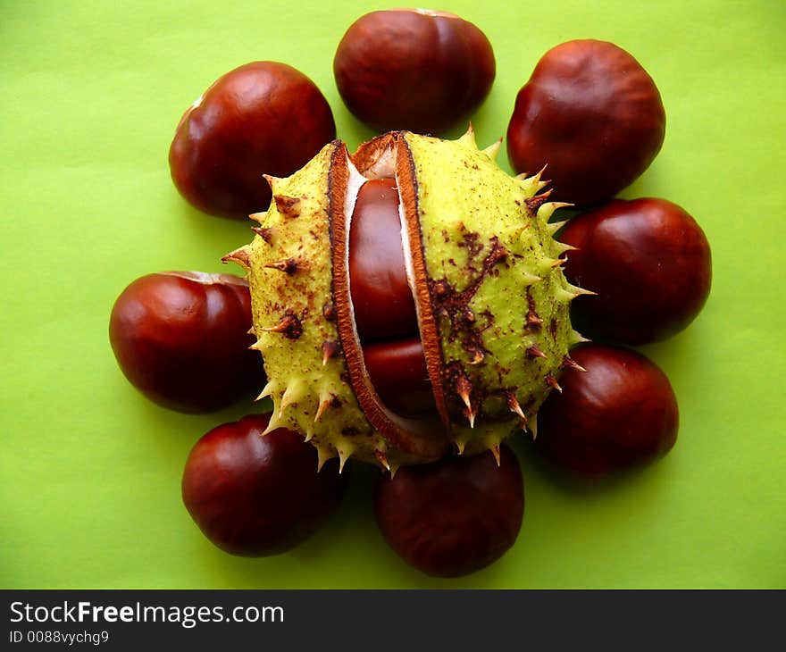 Autumn chestnuts (twin) in shell inside circle chestnuts on the green background; Castanea