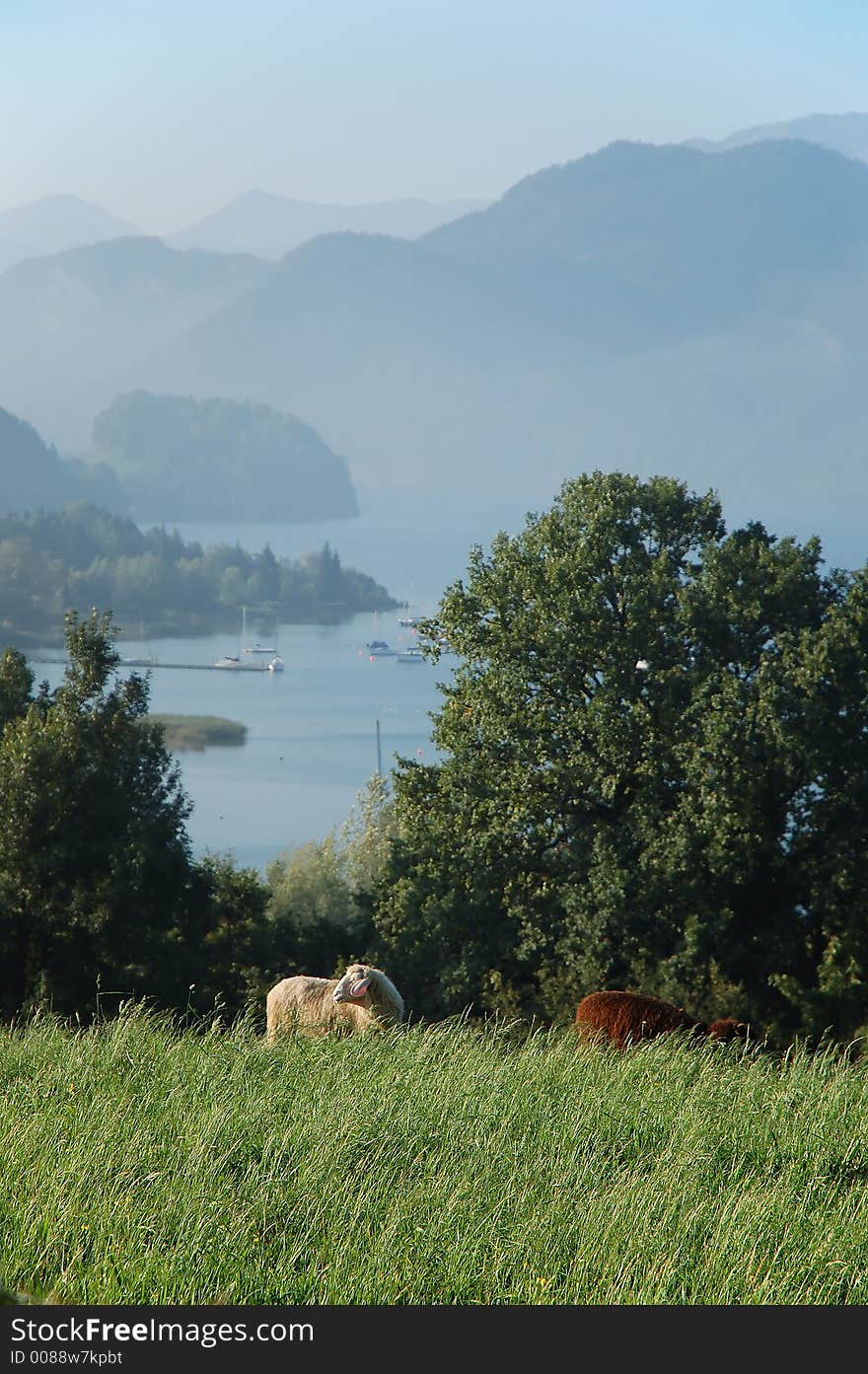 Mondsee II