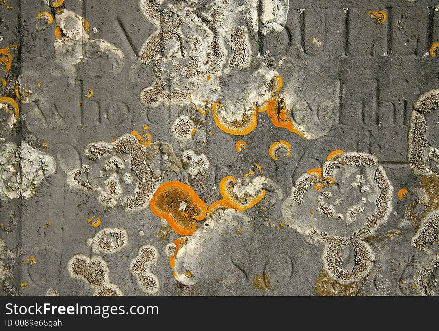 Moss covered old gravestone background