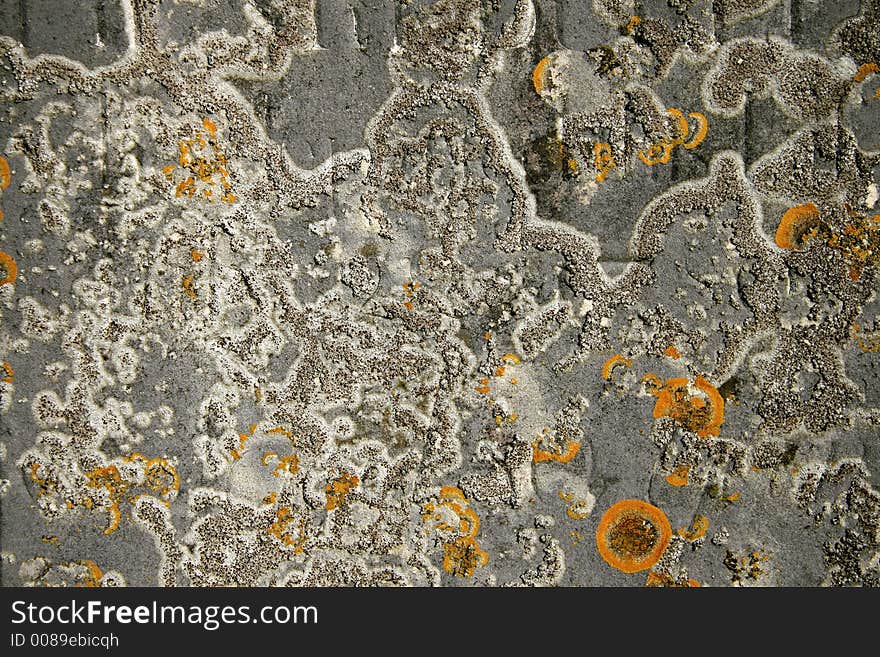 Moss covered old gravestone, background