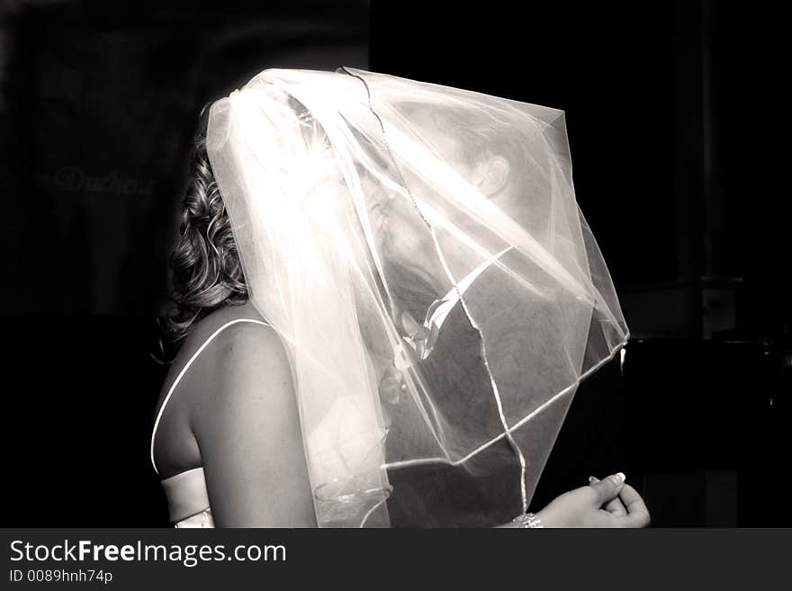 Bride and groom kiss under her vail. Bride and groom kiss under her vail