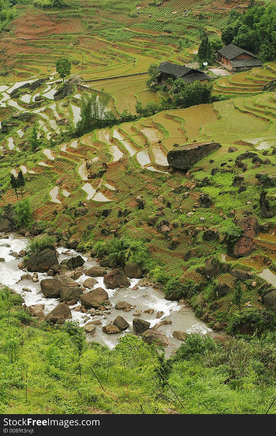 Quiet village with a brook in the middle. Quiet village with a brook in the middle