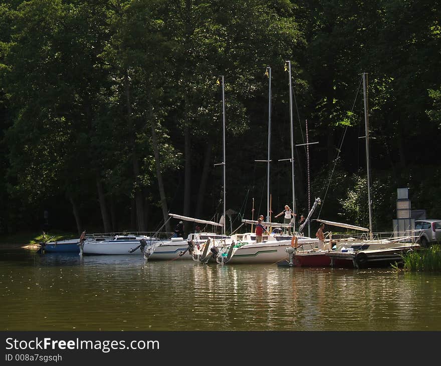 Forest marina