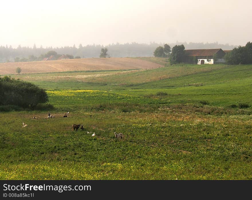 Countryside foggy scene with farm