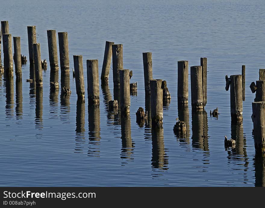 This image of the pilings in the water was taken in the Flathead Valley of western MT.