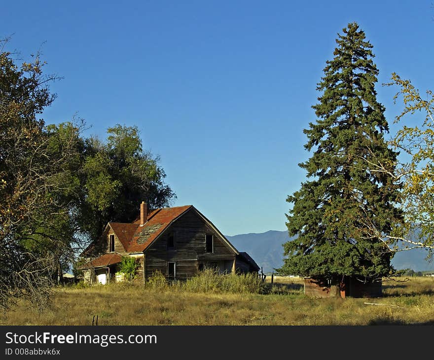 This image of the old, abandoned home in the trees was taken in western MT. This image of the old, abandoned home in the trees was taken in western MT.