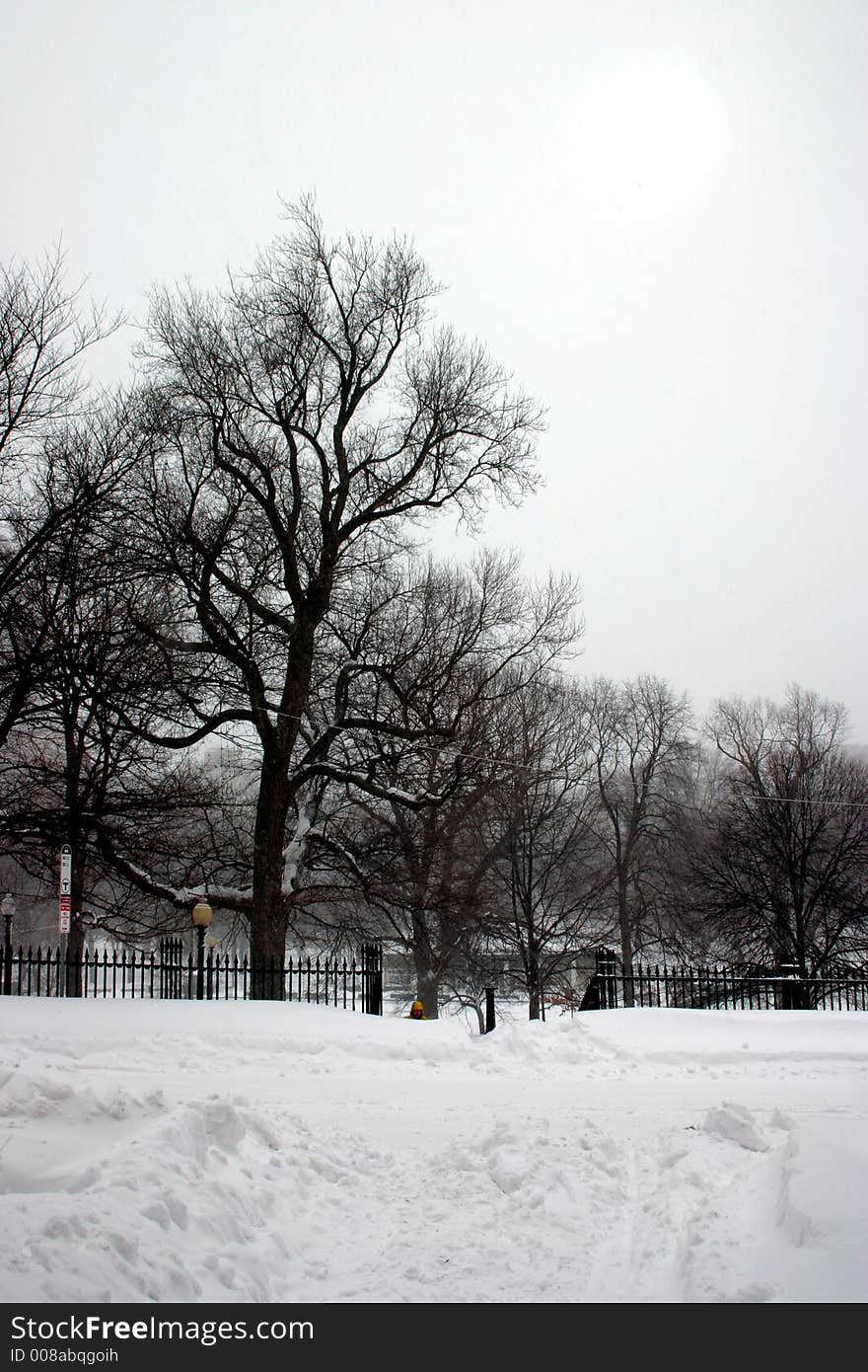 Boston in Snow